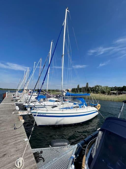 Haus Bernsteinsee Mit Goitzsche-Schnuppersegeln Friedersdorf  Buitenkant foto